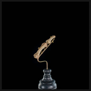 Human finger bones, on custom base