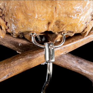 Real human skull and crossbones