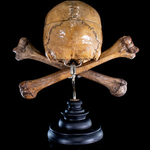 Real human skull and crossbones