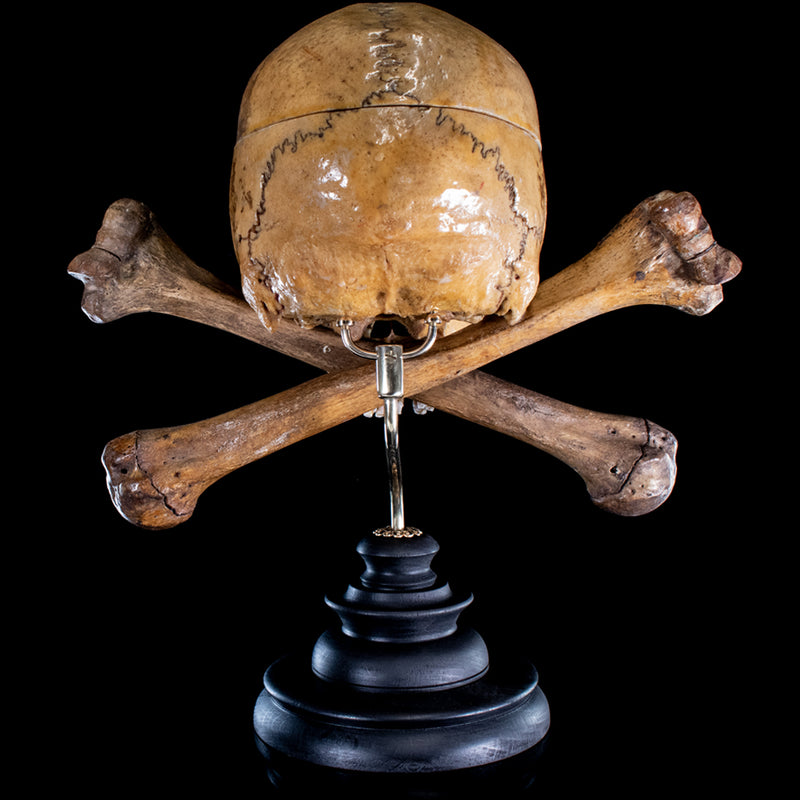 Real human skull and crossbones