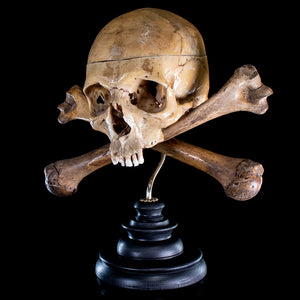 Real human skull and crossbones