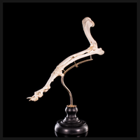 Mounted rear dog leg bone