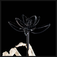 Real human skeleton hand holding black bone flower