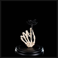 Real human skeleton hand holding black bone flower