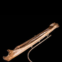 Real human radius and ulna