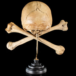 Real human skull and crossbones