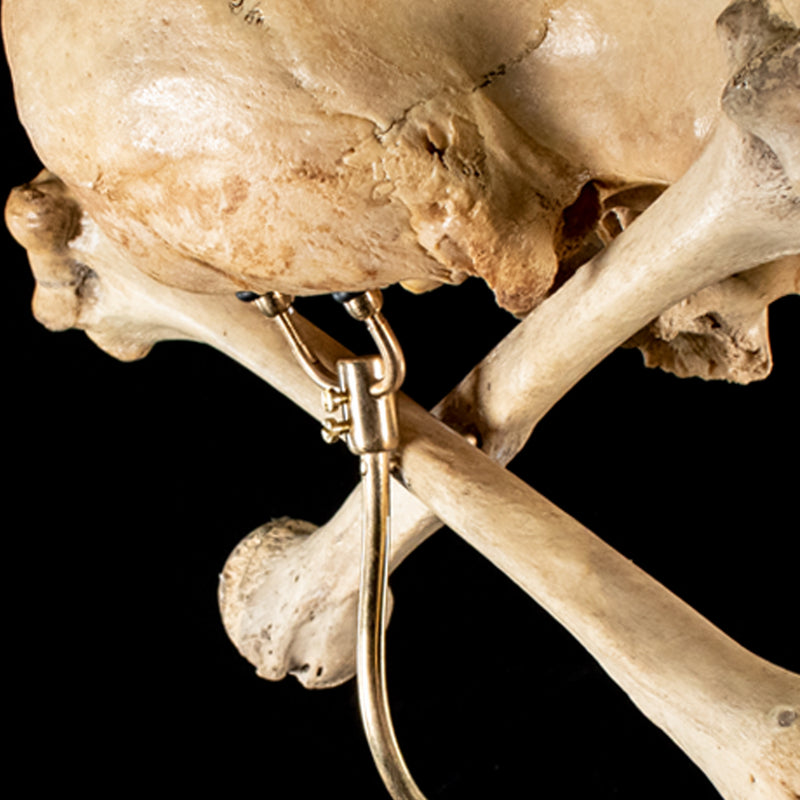 Real human skull and crossbones