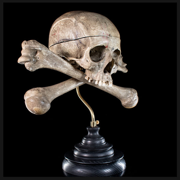 Real human skull and crossbones for sale – Mattaeus Ball