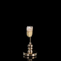 Human tooth with filling on custom brass base